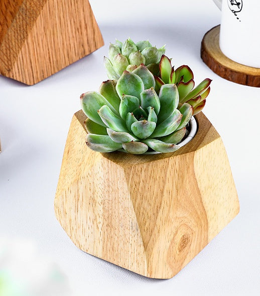 Simple Wooden Flowerpot Creative Home Garden