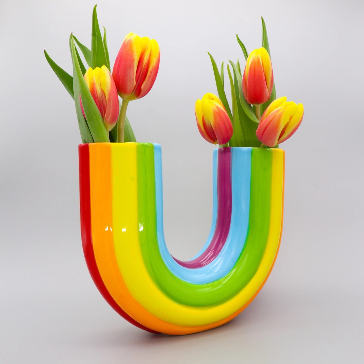 New Simple Rainbow Vase Creative Home Living Room Decoration Garden